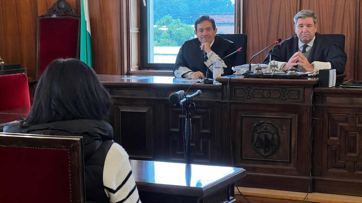 La madre acusada de intentar asesinar con laxantes y diuréticos a su hijo de 5 años ha reconocido este miércoles los hechos La madre acusada de intentar asesinar con laxantes y diuréticos a su hijo de 5 años ha reconocido este miércoles los hechos