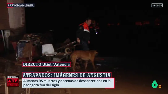 Perros Perros