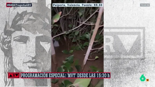 La angustia de una mujer en medio de la DANA: "Ahora mismo estoy metida en una planta y no hay nada a mi alrededor" La angustia de una mujer en medio de la DANA: "Ahora mismo estoy metida en una planta y no hay nada a mi alrededor"