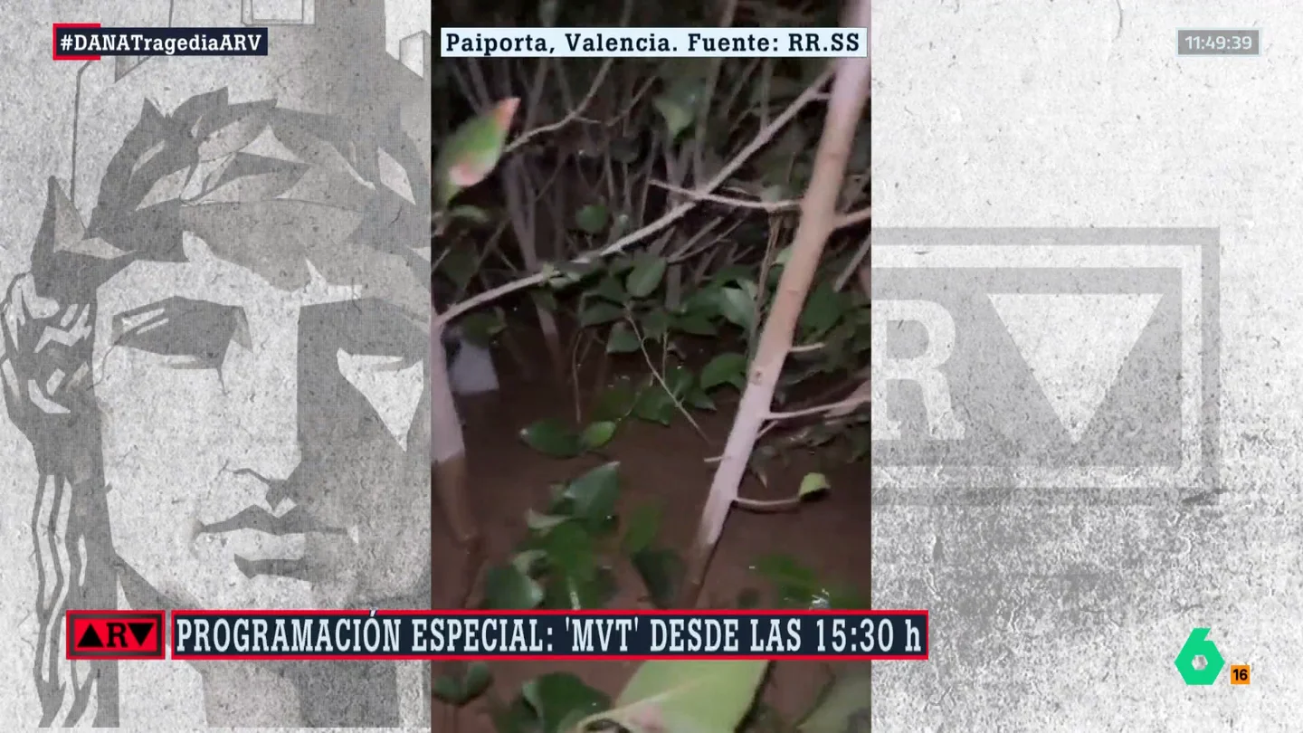 La angustia de una mujer en medio de la DANA: "Ahora mismo estoy metida en una planta y no hay nada a mi alrededor" La angustia de una mujer en medio de la DANA: "Ahora mismo estoy metida en una planta y no hay nada a mi alrededor"