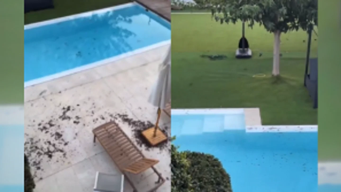 El vídeo de la 'influencer' Ana Moya mostrando el paso de la DANA por su hogar provoca un aluvión de críticas El vídeo de la 'influencer' Ana Moya mostrando el paso de la DANA por su hogar provoca un aluvión de críticas