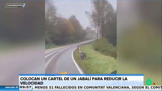 La sorpresa de un conductor al ver que han colocado un cartel de un jabalí para reducir la velocidad en la carretera La sorpresa de un conductor al ver que han colocado un cartel de un jabalí para reducir la velocidad en la carretera