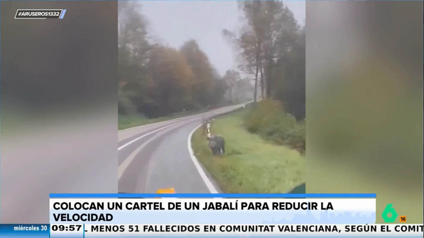 La sorpresa de un conductor al ver que han colocado un cartel de un jabalí para reducir la velocidad en la carretera La sorpresa de un conductor al ver que han colocado un cartel de un jabalí para reducir la velocidad en la carretera