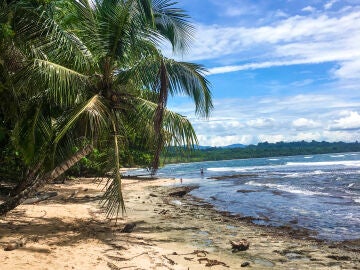 Playa Cahuita Limón