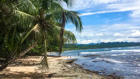 Playa Cahuita Limón Playa Cahuita Limón