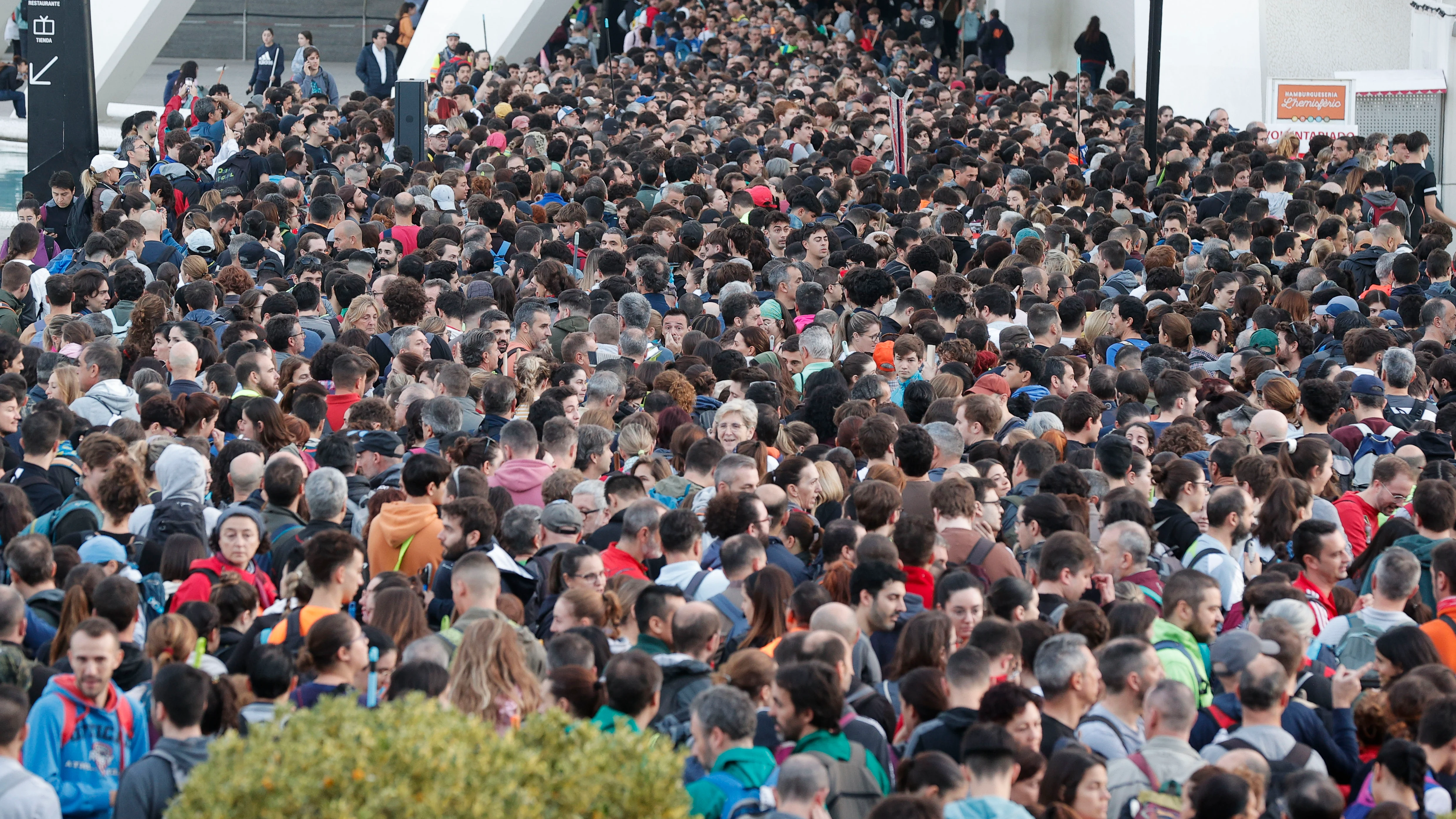 Miles de personas este sábado en la Ciudad de las Artes y las Ciencias 