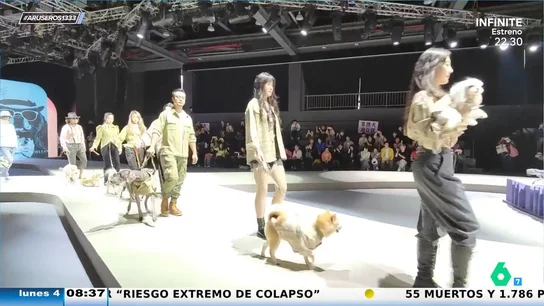 Los dueños desfilan junto a sus mascotas y brillan en la Semana de la Moda de Shanghái Los dueños desfilan junto a sus mascotas y brillan en la Semana de la Moda de Shanghái