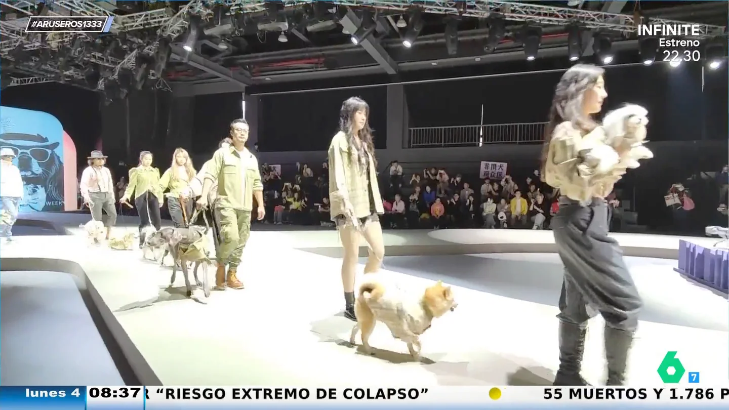 Los dueños desfilan junto a sus mascotas y brillan en la Semana de la Moda de Shanghái Los dueños desfilan junto a sus mascotas y brillan en la Semana de la Moda de Shanghái