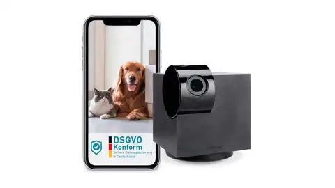Cmára vigilancia de mascotas Cmára vigilancia de mascotas