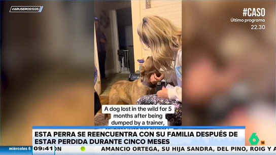 El emotivo reencuentro de un perro con su familia tras estar desaparecido durante cinco meses El emotivo reencuentro de un perro con su familia tras estar desaparecido durante cinco meses