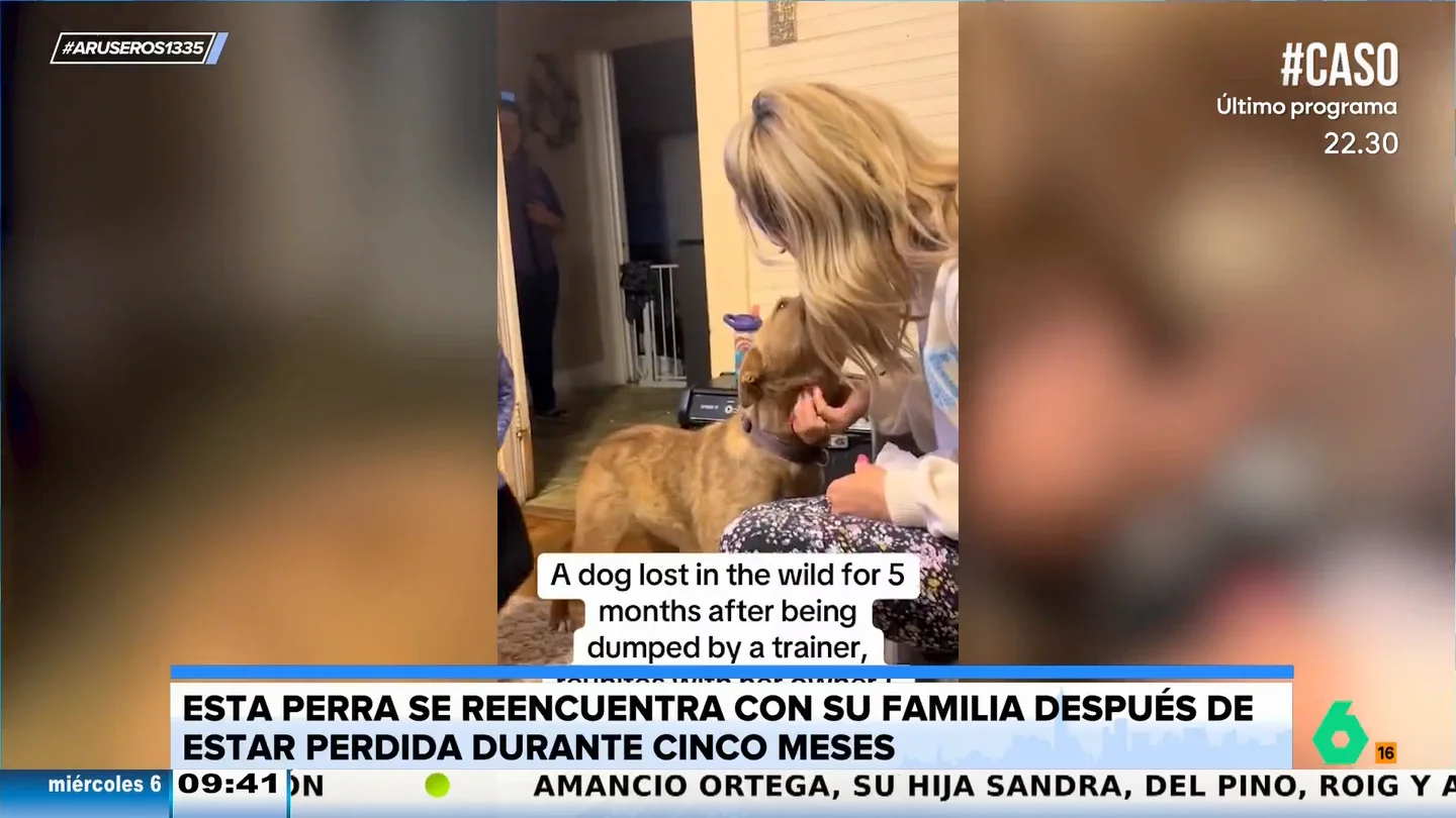 El emotivo reencuentro de un perro con su familia tras estar desaparecido durante cinco meses El emotivo reencuentro de un perro con su familia tras estar desaparecido durante cinco meses