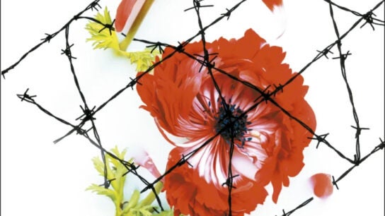 Detalle de la cubierta de 'El soldado desafinado', de Gilles Marchand