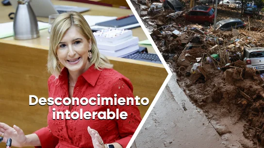 La consellera de Justicia de la Generalitat Valenciana, Salomé Pradas La consellera de Justicia de la Generalitat Valenciana, Salomé Pradas