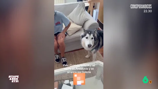 Un husky se hace viral gracias a su 'arte' cantando por bulerías: "En el parque entierra los huesos y hace un taconeo" Un perro de la raza husky ha logrado hacerse viral gracias a su 'arte' para cantar flamenco. El animal se pone a cantar mientras su dueña marca el ritmo con las palmas.