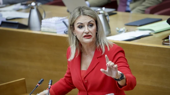 La consellera Nuria Montes en el pleno de Les Corts La consellera Nuria Montes en el pleno de Les Corts