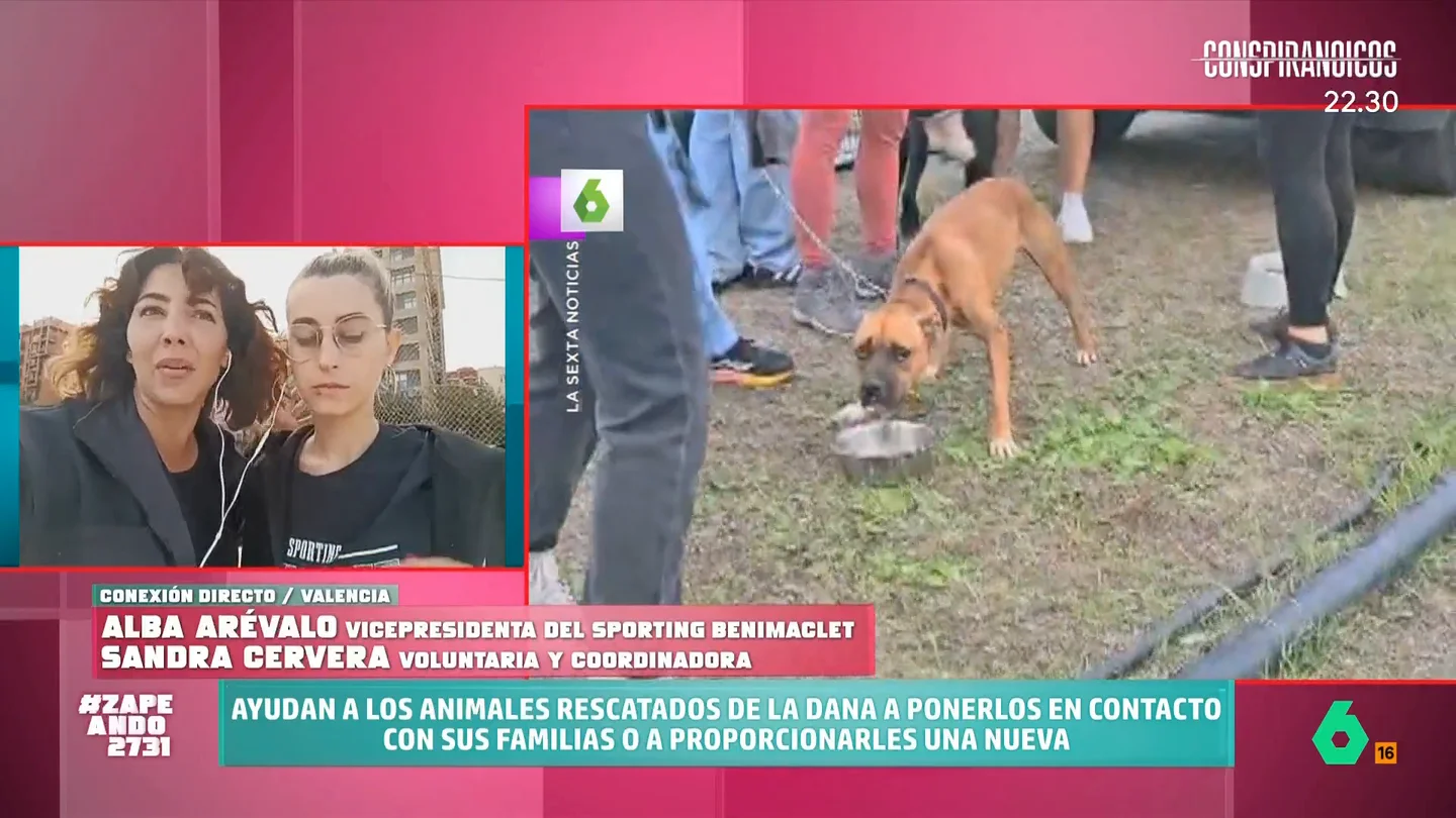 Así es el campamento de Benimaclet para ayudar a los animales afectados por la DANA: "Hemos rescatado a más de 500 animales" Tras su rescate, los animales son atendidos por un veterinario y un educador animal especializado para comprobar el estado del animal. Tras este paso, se hace un registro digital para conseguir a su acogida perfecta o reunirlos con sus familias.