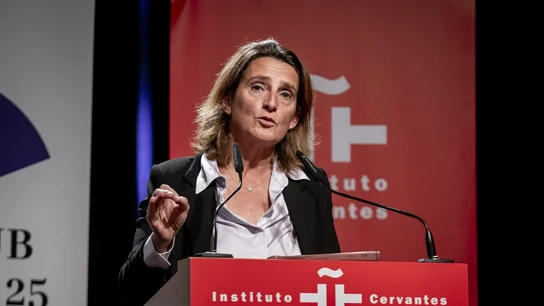 La vicepresidenta tercera y ministra para la Transición Ecológica y el Reto Demográfico, Teresa Ribera La vicepresidenta tercera y ministra para la Transición Ecológica y el Reto Demográfico, Teresa Ribera