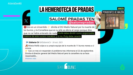 Cuando Salomé Pradas pidió la dimisión de una consellera del Govern de Ximo Puig por la muerte de diez burros Cuando Salomé Pradas pidió la dimisión de una consellera del Govern de Ximo Puig por la muerte de diez burros