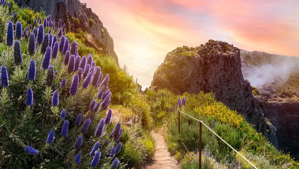 Sendero en Madeira Sendero en Madeira