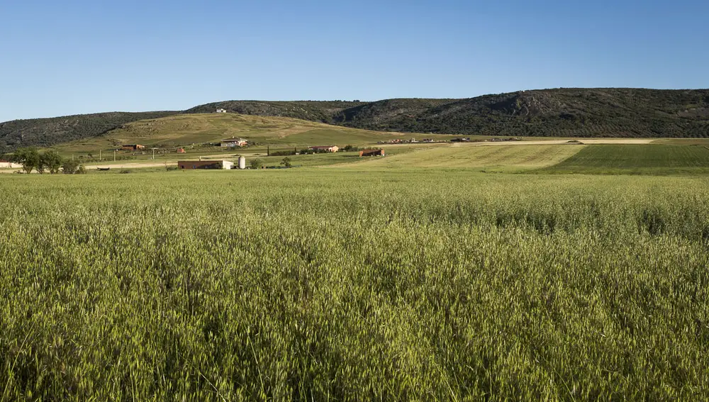 Volcán del Cerro de los Santos Volcán del Cerro de los Santos