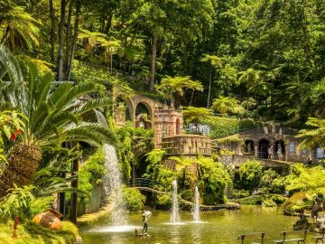 Jardines en Funchal