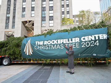 El árbol de Navidad llega el Rockefeller Center de Nueva York el 9 de noviembre de 2024