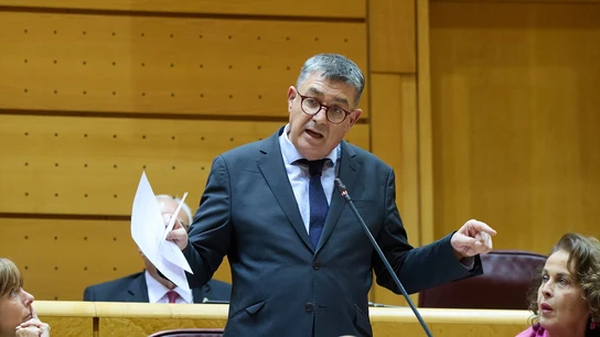 El senador de Compromís, Enric Morera, interviene en el Senado. El senador de Compromís, Enric Morera, interviene en el Senado.