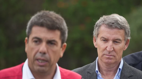 El president de la Generalitat Valenciana, Carlos Mazón, y el líder del PP, Alberto Núñez Feijóo El president de la Generalitat Valenciana, Carlos Mazón, y el líder del PP, Alberto Núñez Feijóo