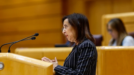 La ministra de Defensa, Margarita Robles, durante su comparecencia ante el Pleno del Senado para informar de su gestión en relación con la DANA La ministra de Defensa, Margarita Robles, durante su comparecencia ante el Pleno del Senado para informar de su gestión en relación con la DANA
