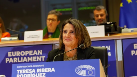 La candidata a la vicepresidencia ejecutiva de Transición Limpia, Justa y Competitiva, y a la cartera de Competencia de la Comisión Europea, Teresa Ribera, durante su intervención en el Parlamento Europeo La candidata a la vicepresidencia ejecutiva de Transición Limpia, Justa y Competitiva, y a la cartera de Competencia de la Comisión Europea, Teresa Ribera, durante su intervención en el Parlamento Europeo