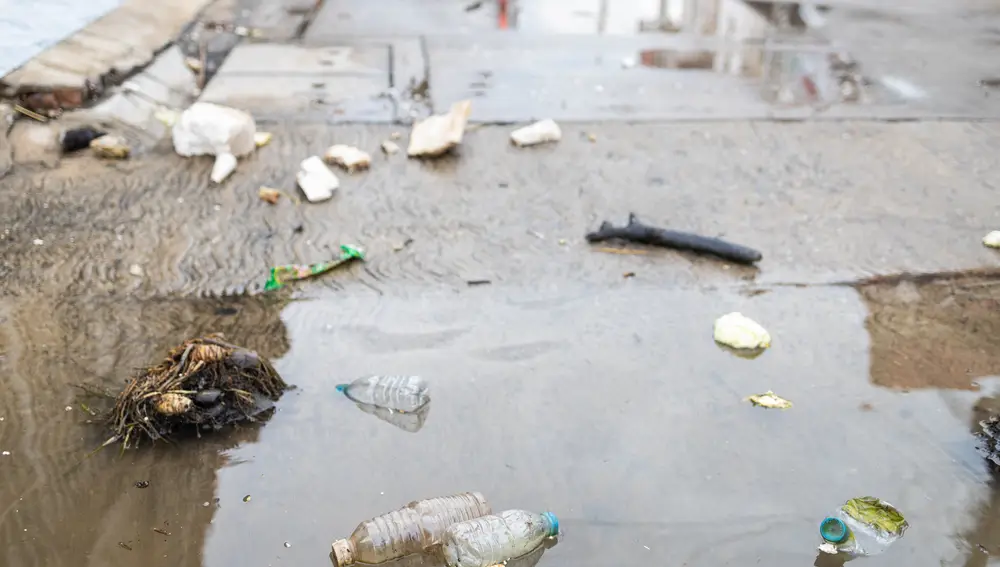 Basura y agua estancada Basura y agua estancada