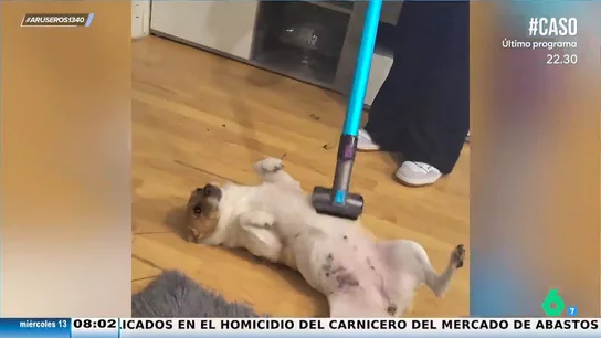 Aruseros Aspiradora Aruseros Aspiradora