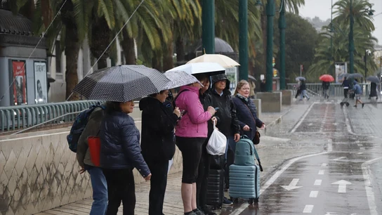 Personas con paraguas por las calles de Málaga, a 29 de octubre de 2024, en Málaga, Andalucía (España). Personas con paraguas por las calles de Málaga, a 29 de octubre de 2024, en Málaga, Andalucía (España).