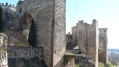 Castillo-Palacio de Escalona