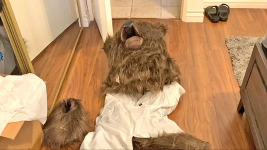 Traje de oso utilizado por uno de los detenidos Traje de oso utilizado por uno de los detenidos