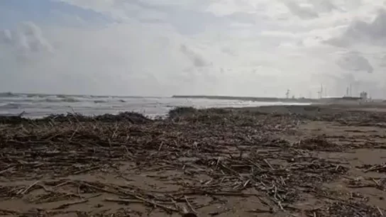 Así ha quedado la playa de Gandía tras el temporal Así ha quedado la playa de Gandía tras el temporal
