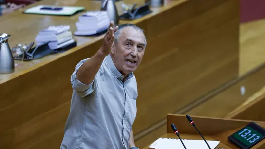 El diputado de Compromís Joan Baldoví interviene durante el pleno El diputado de Compromís Joan Baldoví interviene durante el pleno
