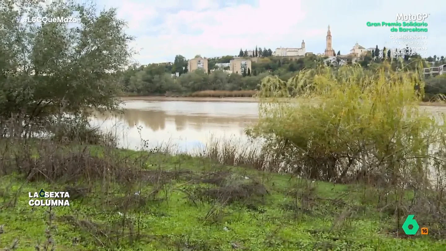 La dehesa de Tablada, el 'caramelo' urbanístico de Sevilla en una zona que "es y debe ser inundable" "Tablada no es un problema para Sevilla, es un problema societario para sus propietarios, que tienen un suelo en el que no pueden construir", afirma en este vídeo el geógrafo Enrique Hernández, muy crítico con el proyecto de urbanizar Tablada.