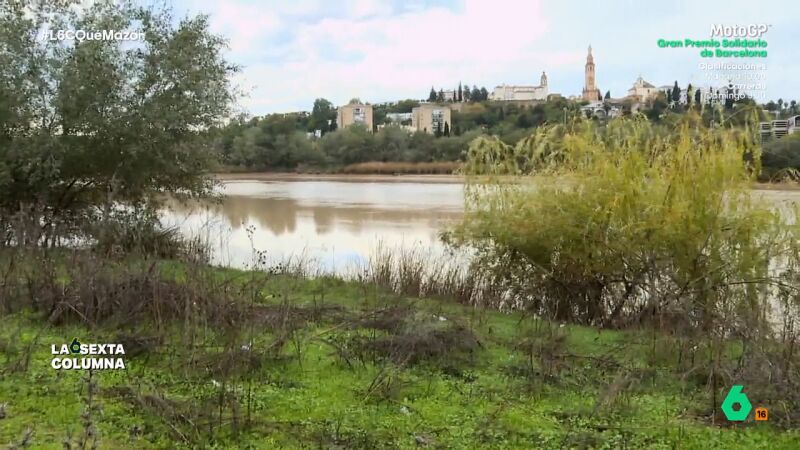 La dehesa de Tablada, el 'caramelo' urbanístico de Sevilla en una zona que "es y debe ser inundable"