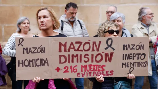 Varias personas piden la dimisión de Mazón en el exterior de Les Corts  Varias personas piden la dimisión de Mazón en el exterior de Les Corts