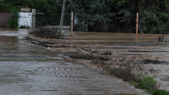 Fotografía del desbordado río Guadiaro a su paso este jueves por Jimena de la Frontera (Cádiz) Fotografía del desbordado río Guadiaro a su paso este jueves por Jimena de la Frontera (Cádiz)