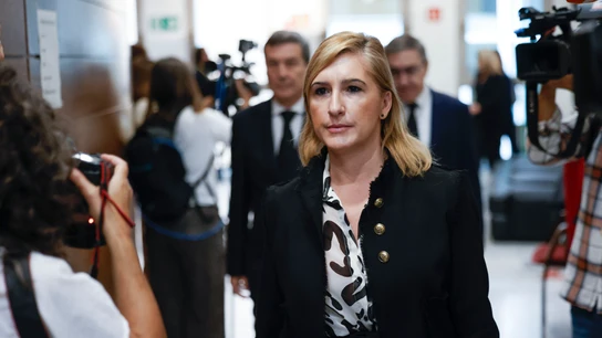 La consellera de Justicia e Interior, Salomé Pradas a su llegada a Les Corts La consellera de Justicia e Interior, Salomé Pradas a su llegada a Les Corts