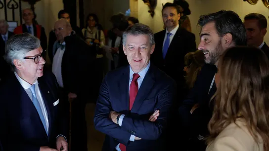 El líder del PP, Alberto Núñez Feijóo El líder del PP, Alberto Núñez Feijóo