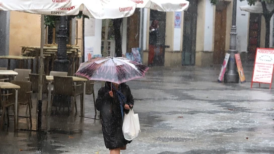 Una mujer camina con un paraguas para protegerse de la lluvia en Jerez de la Frontera. Una mujer camina con un paraguas para protegerse de la lluvia en Jerez de la Frontera.