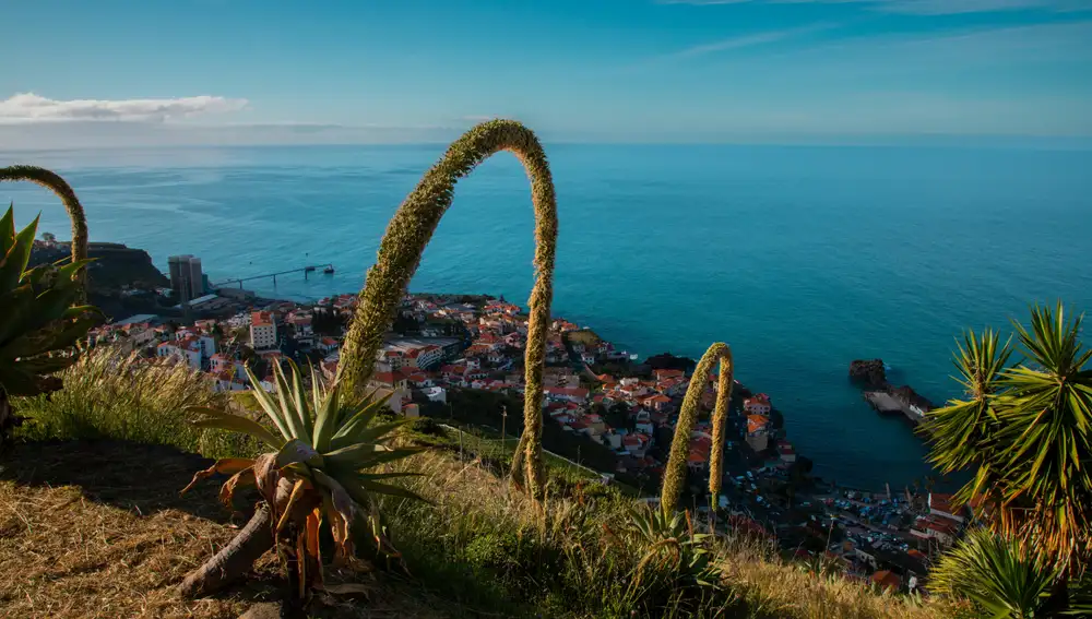 Câmara de Lobos, en Madeira Câmara de Lobos, en Madeira