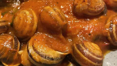 Tapa de TÍO TIMÓN Tapa de TÍO TIMÓN