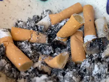 Por qué las colillas de cigarrillos son tan contaminantes Por qué las colillas de cigarrillos son tan contaminantes