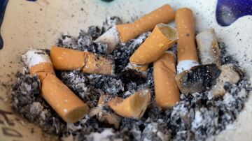 Por qué las colillas de cigarrillos son tan contaminantes 