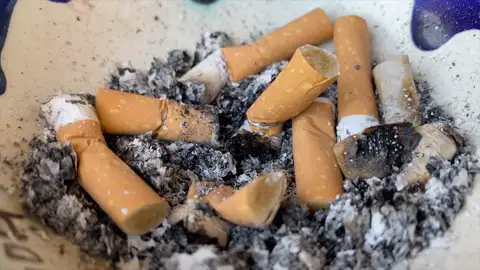 Por qué las colillas de cigarrillos son tan contaminantes Por qué las colillas de cigarrillos son tan contaminantes