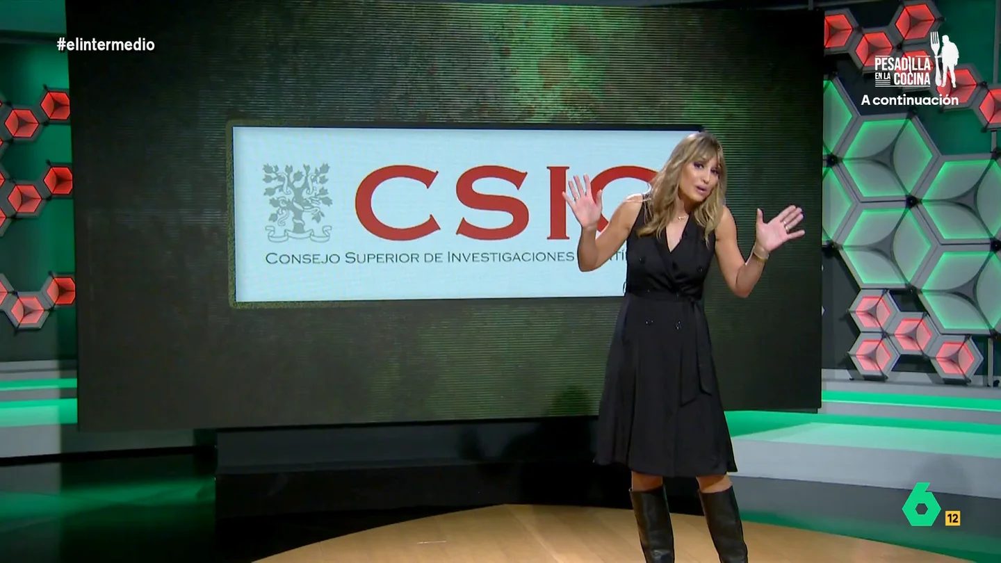 No, el CSIC no ha cobrado por analizar los lodos de la DANA: Sandra Sabatés explica por qué este bulo es "radicalmente falso" No, el CSIC no ha cobrado por analizar los lodos de la DANA: Sandra Sabatés explica por qué este bulo es "radicalmente falso"